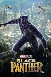 Download Black Panther (2018) Dual Audio {Hindi-English} 480p 720p 1080p