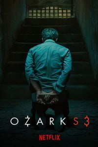 Download Netflix Ozark (Season 1 – 3) Dual Audio {Hindi-English} 480p 720p