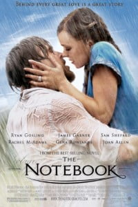 Download The Notebook (2004) Dual Audio {Hindi-English} ESubs 480p 720p 1080p