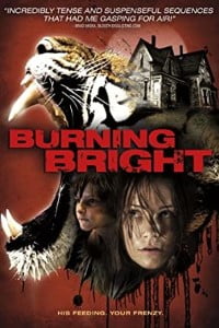 Download Burning Bright (2010) Dual Audio {Hindi-English} ESubs BluRay 480p 720p