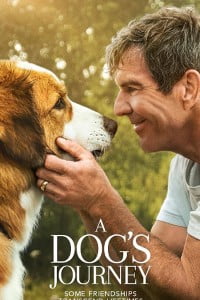 Download A Dog’s Journey (2019) {English With Subtitles} 480p 720p 1080p