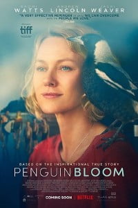 Download Penguin Bloom (2021) {English With Subtitles} 480p 720p 1080p